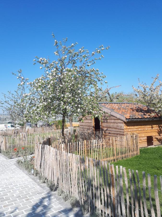 웰렌 De Bonderbei B&B 외부 사진